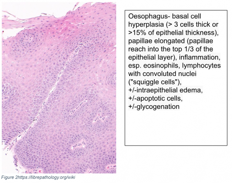 Captura de pantalla 2024 08 11 192313