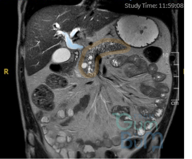 Your paragraph text 7